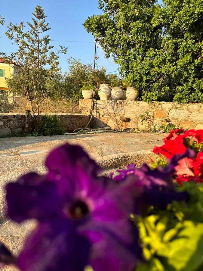 Σελήνη Appartement Kotronion  Buitenkant foto